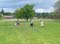 VEI_BL_13_05_034