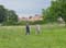 VEI_BL_13_05_134