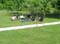 VEI_BL_14_05_079