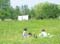 VEI_BL_14_05_102