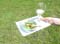 VEI_BL_14_05_124