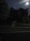 VEI_BL_12_05_042