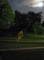 VEI_BL_12_05_045