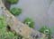 VEI_BL_13_05_009