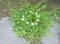 VEI_BL_13_05_017