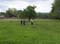 VEI_BL_13_05_033