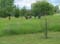 VEI_BL_13_05_060