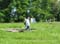 VEI_BL_14_05_142
