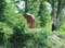VEI_BL_13_05_035