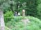 VEI_BL_13_05_041
