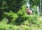 VEI_BL_14_05_110