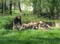 VEI_BL_RES_11_003