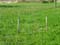 VEI_BL_RES_11_059