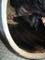 VEI_BL_RES_12_025