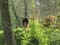 VEI_BL_RES_12_048