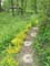 VEI_BL_RES_15_001