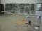 VEI_BL_RES_16_010