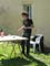 VEI_BL_RES_20_017