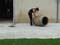 VEI_BL_RES_22_047